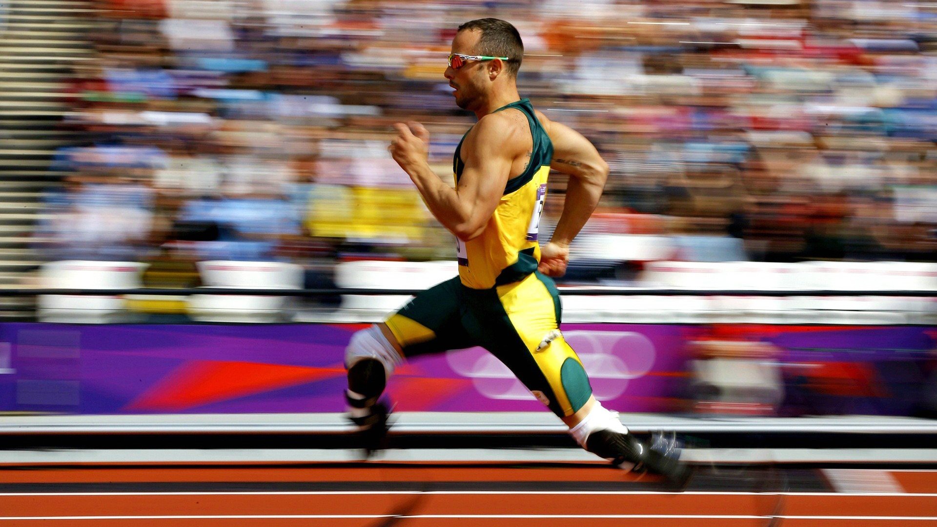 全国田径锦标赛跳远项目惊现黑马 新星张磊以8米32夺冠创个人最佳