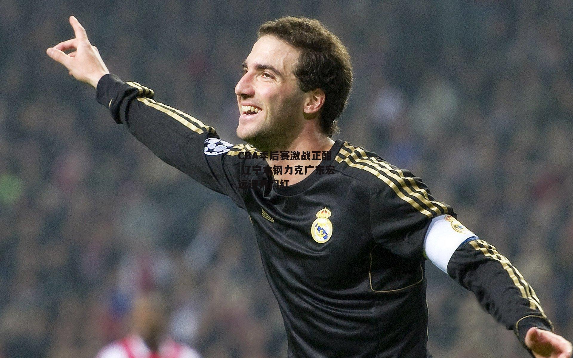 CBA季后赛激战正酣 辽宁本钢力克广东宏远迎开门红